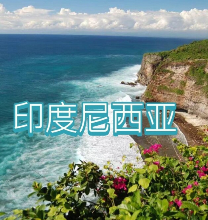 际电商(印尼)产业博览会电子pg2025中国国(图3)